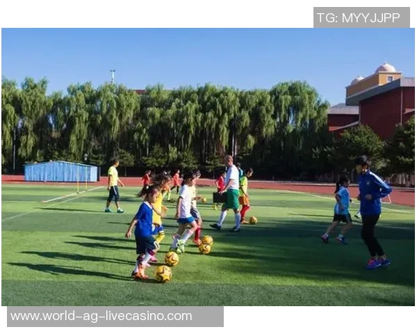 足球教练级别解析与晋升路径探讨助你成为顶尖教练 足球教练级别解析与晋升路径探讨助你成为顶尖教练