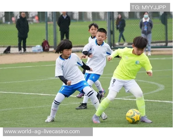 足球冷知识大揭秘你不知道的那些趣味事实与历史瞬间 足球冷知识大揭秘你不知道的那些趣味事实与历史瞬间