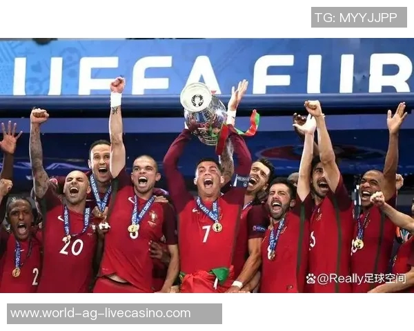 葡萄牙足球联赛的魅力与挑战探讨球队发展与球员成长之路